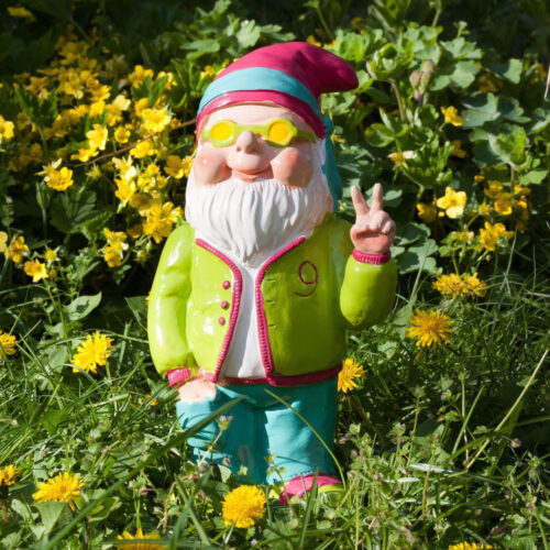 Nain de jardin rigolo